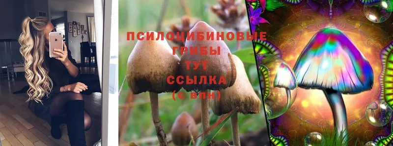 цена   KRAKEN сайт  Галлюциногенные грибы MAGIC MUSHROOMS  Белоозёрский 